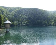 Pourquoi partir au camping dans les Vosges ?