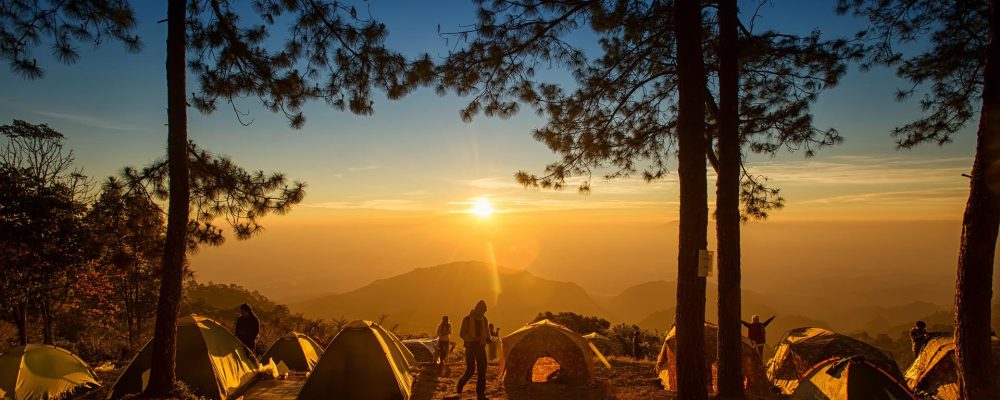 5 bonnes raisons de partir au camping dans les Landes